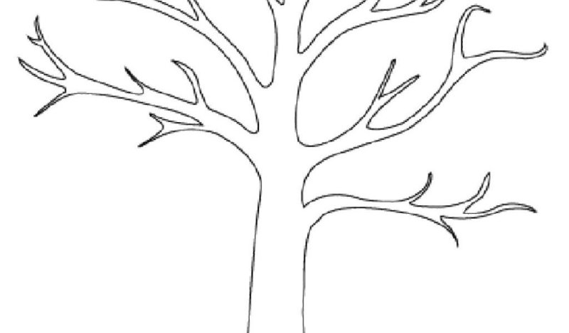 Дерево шаблон для рисования