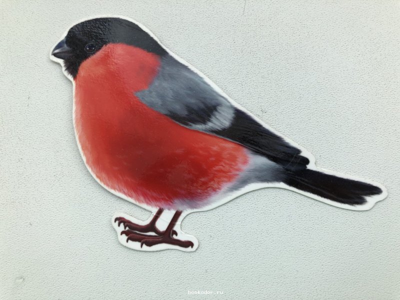 Снегири на окна