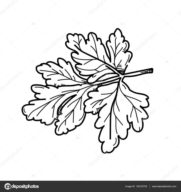 Петрушка раскраска для детей