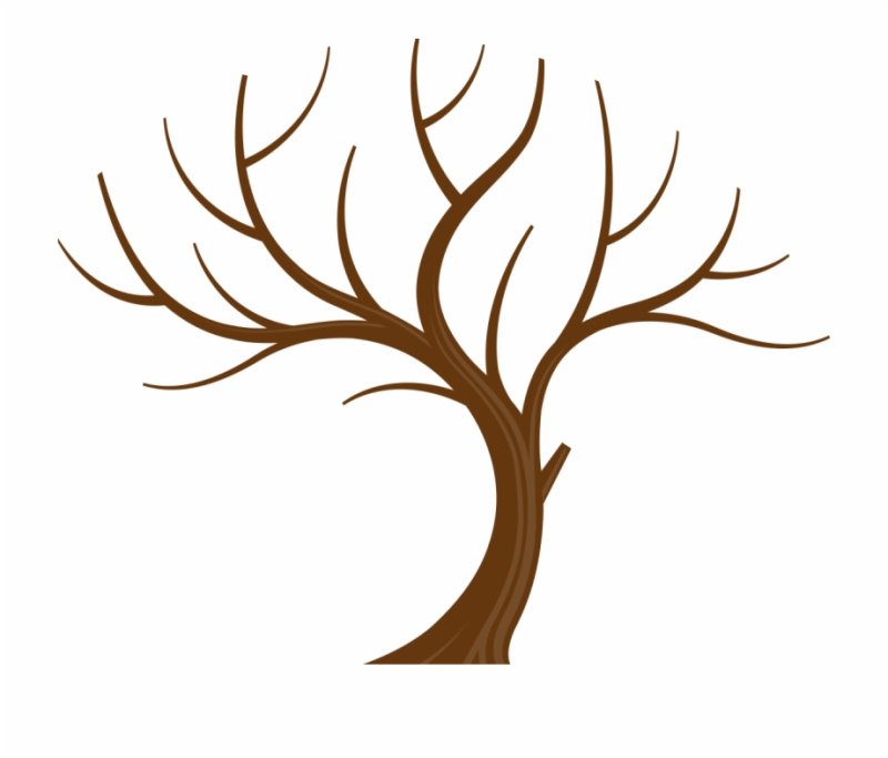 Ветка дерева