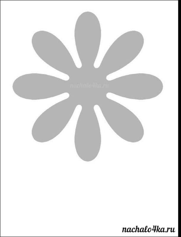 Трафарет цветов ромашки