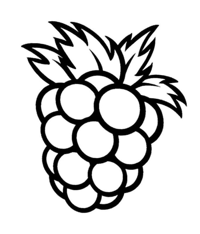 Ягода малина раскраска для детей