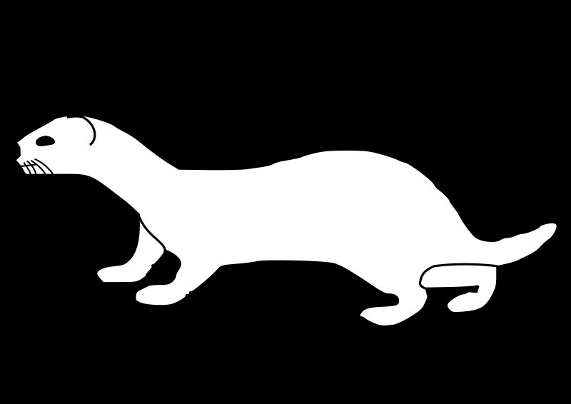 Хорек рисунок для детей