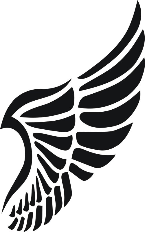 Орнамент Крылья