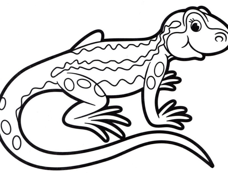 Ящерица раскраска