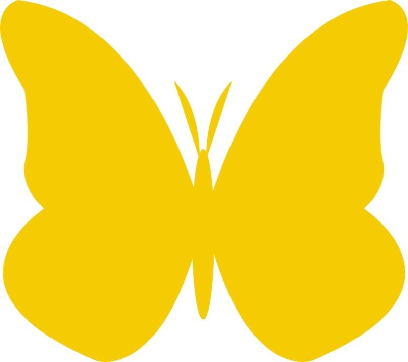Бабочки желтого цвета