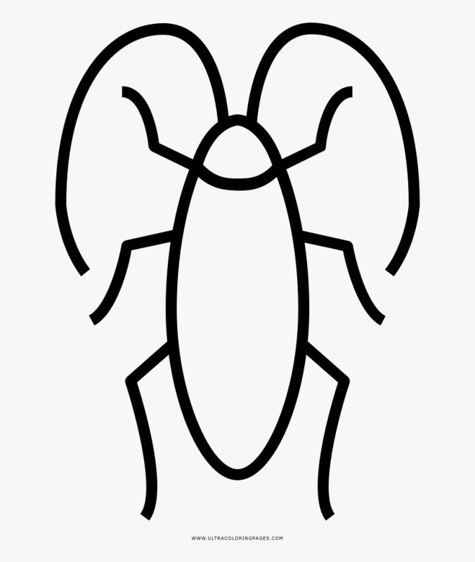 Поэтапное рисование таракана