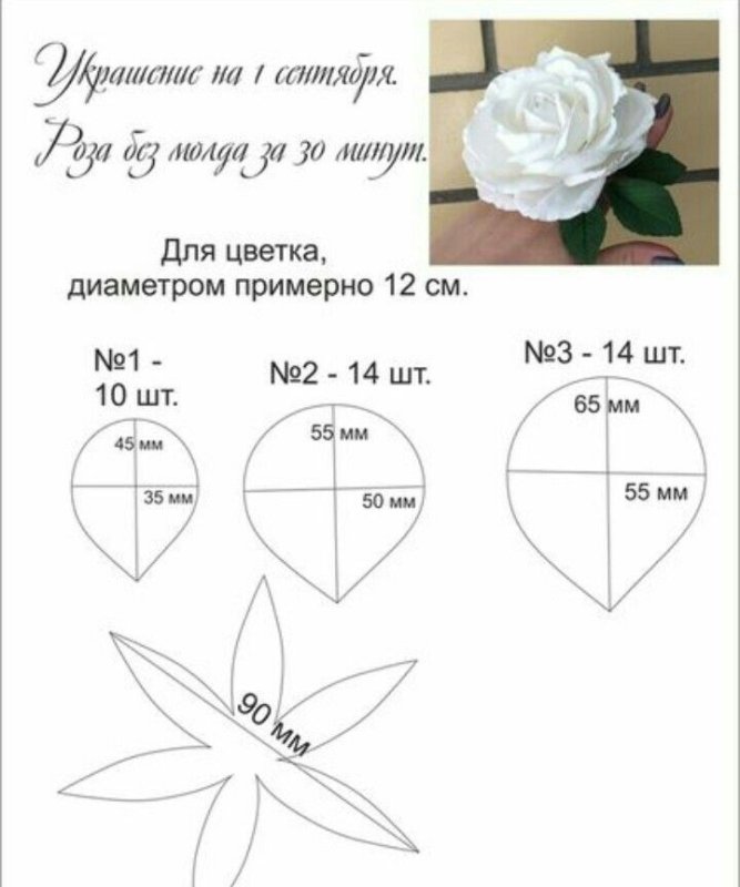 Схемы лепестков для цветов из фоамирана