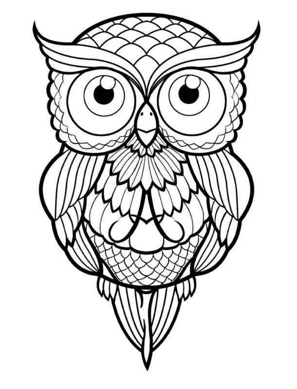 Сова трафарет