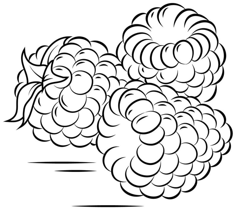 Раскраска "ягоды"