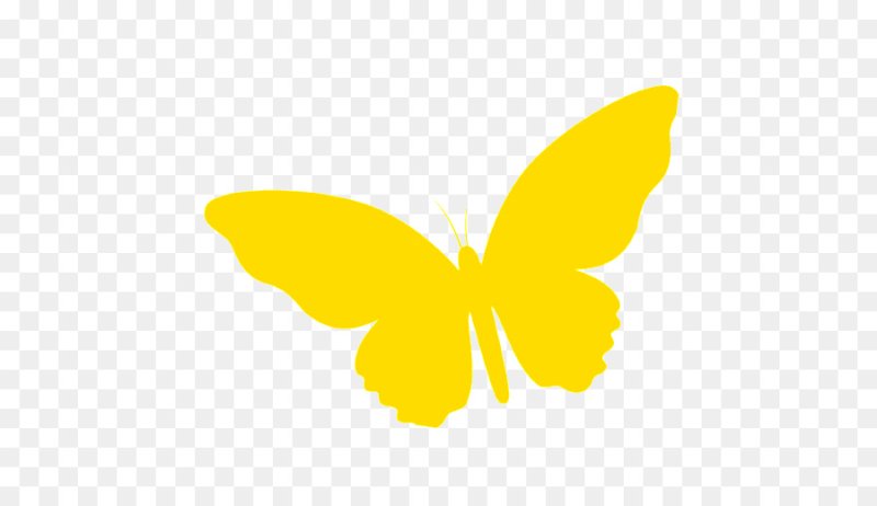 Желтая бабочка на прозрачном фоне