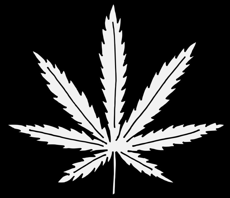 Лист конопли трафарет