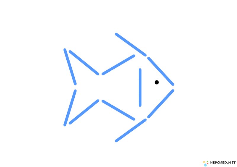 Выкладывание рыбок из счетных палочек