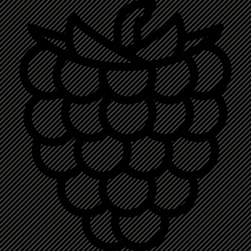 Контур ягоды малины