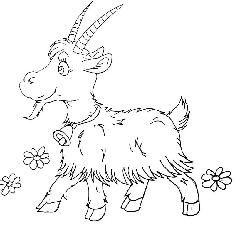 Коза раскраска для детей