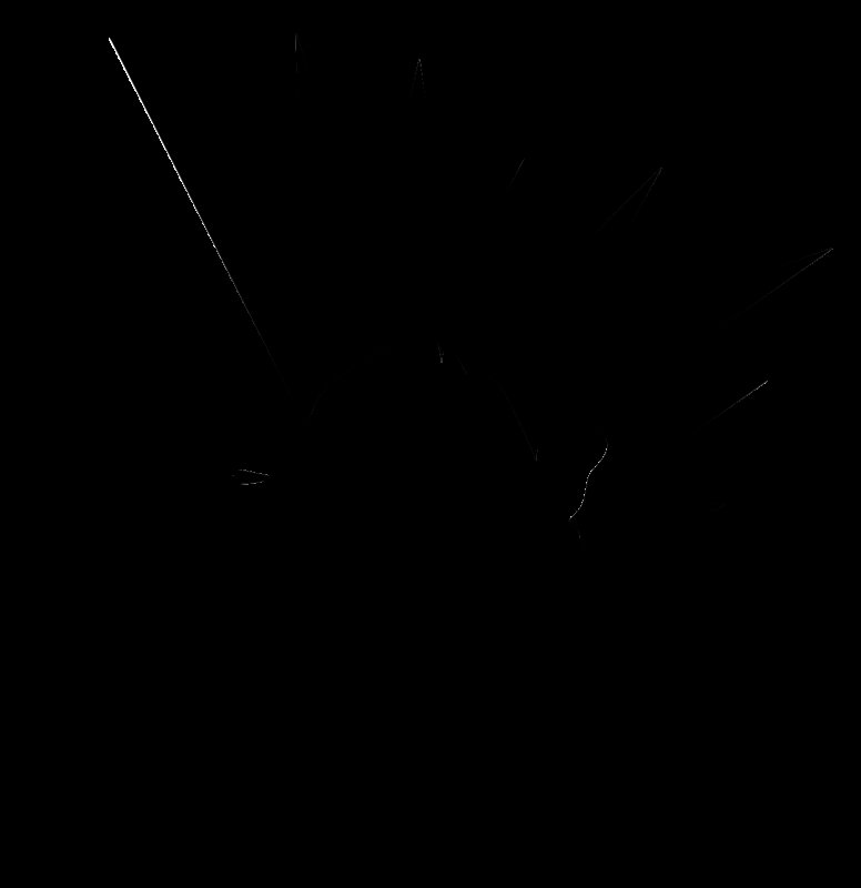 Панк рок рисунки