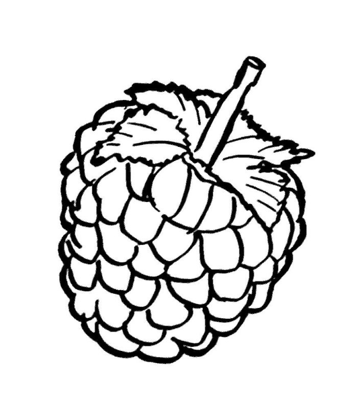 Раскраски для детей Малиа