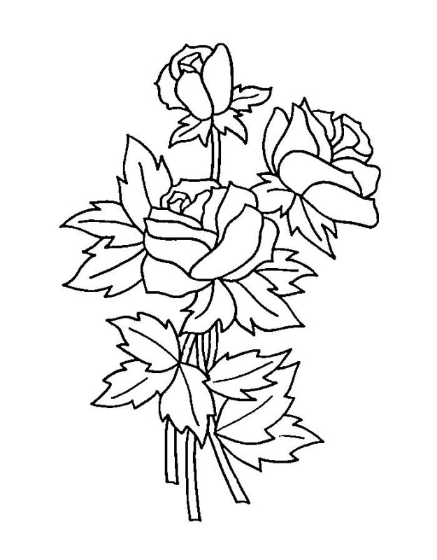 Раскраски цветы красивые