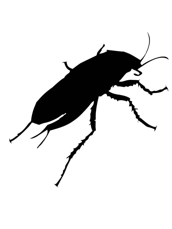 Силуэты тараканов