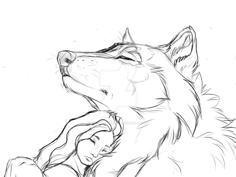 Волк карандашом