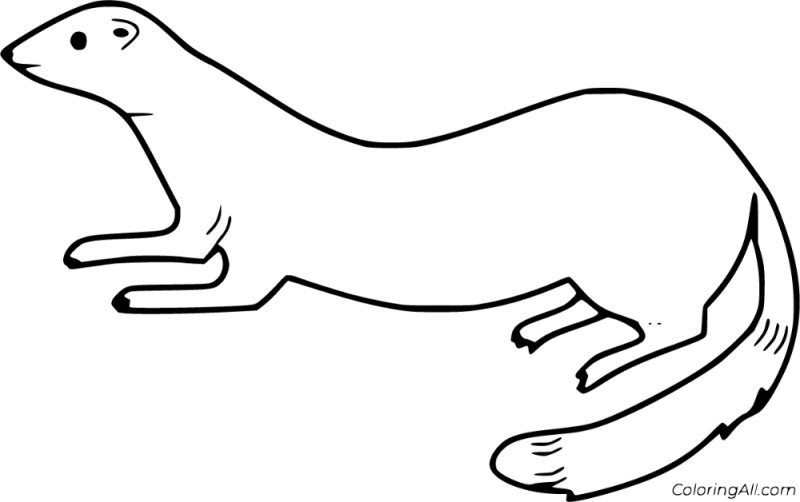 Норка раскраска для детей