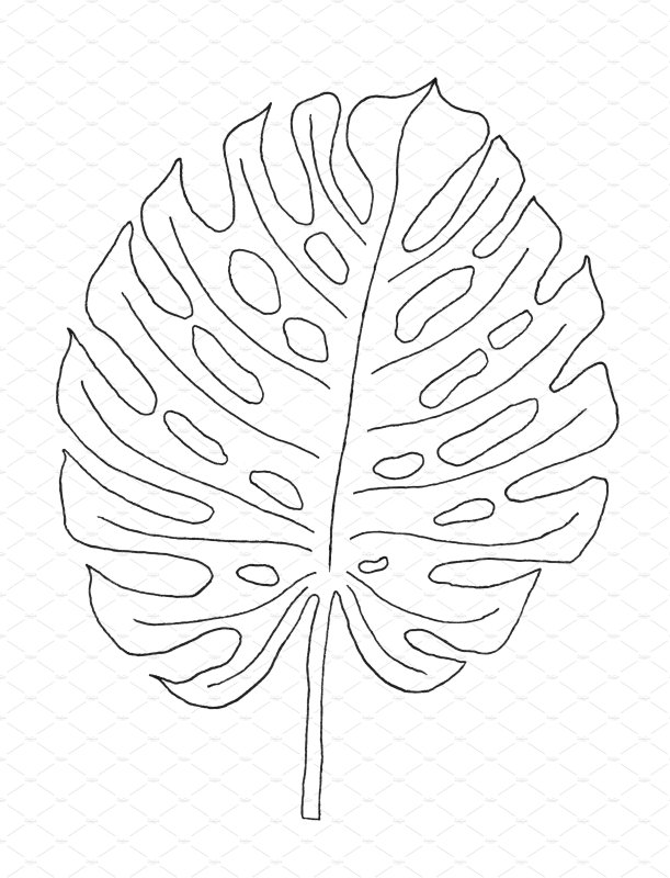 Лист монстеры контур