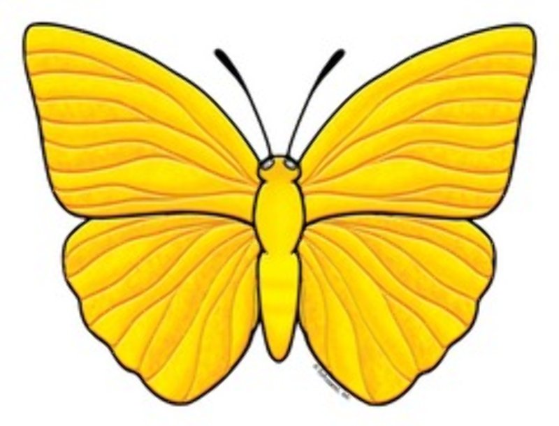 Бабочка желтого цвета для детей