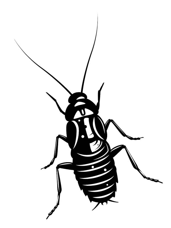 Таракан трафарет