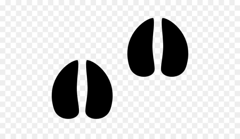 Следы коровы