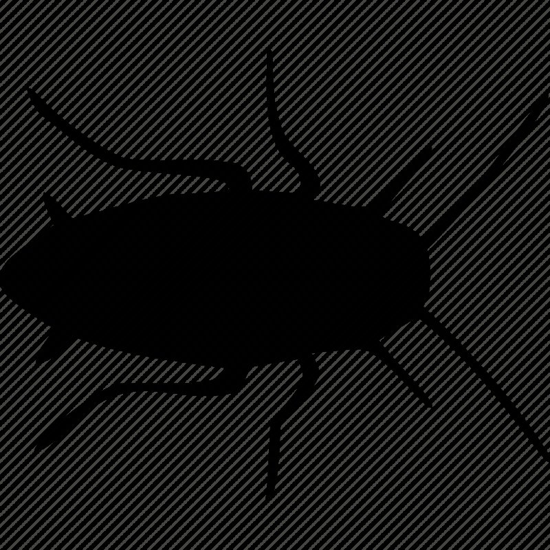 Значок таракан