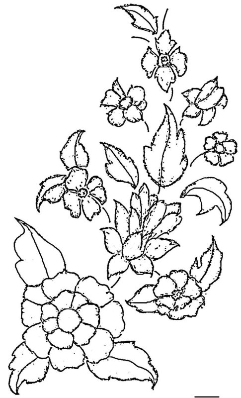 Трафареты для витражной росписи по стеклу