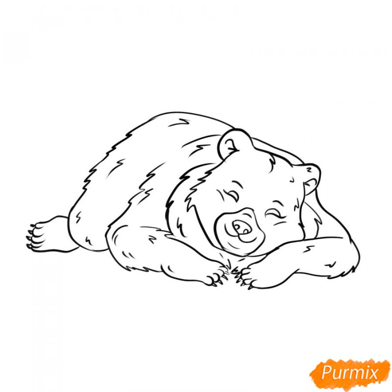 Мишка спит раскраска