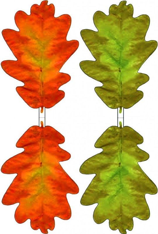 Цветные листочки