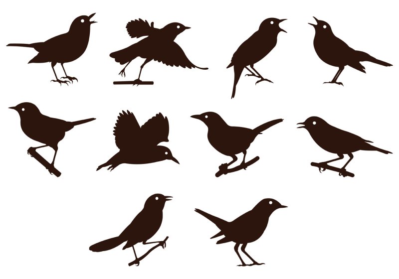 Силуэт птицы