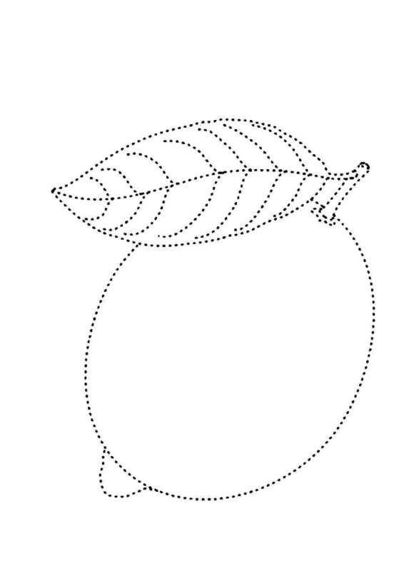 Обводить по точкам фрукты