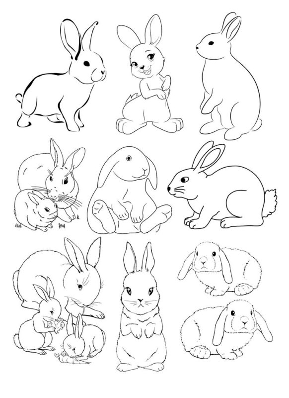 Кролик раскраска