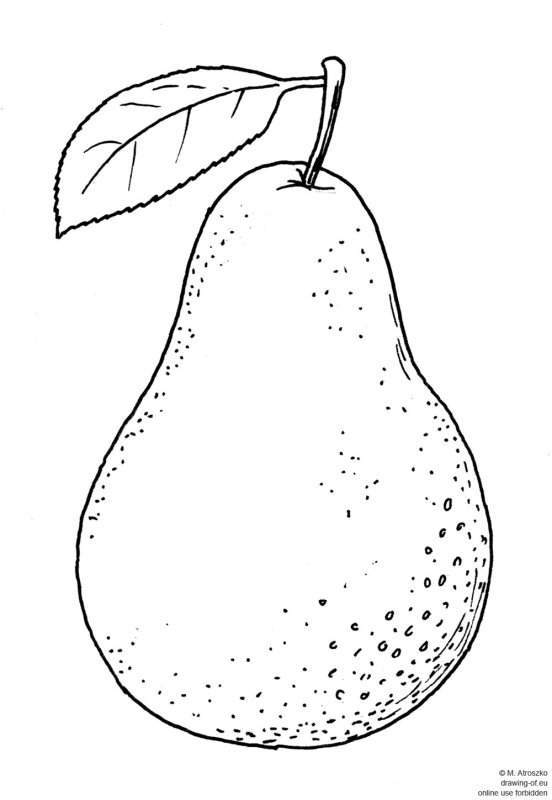 Груша раскраска для детей