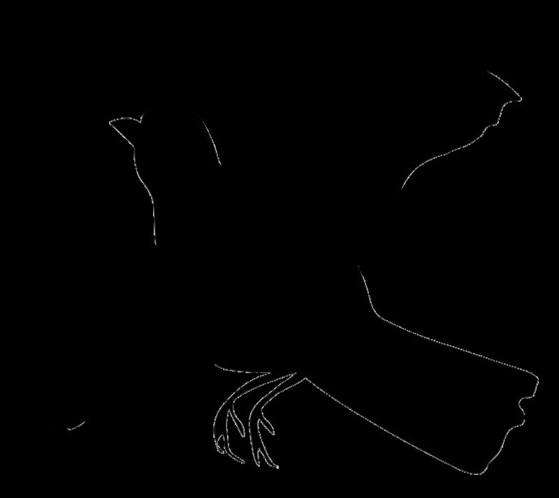 Очертание птицы