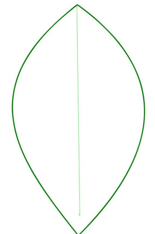 Лепесток трафарет