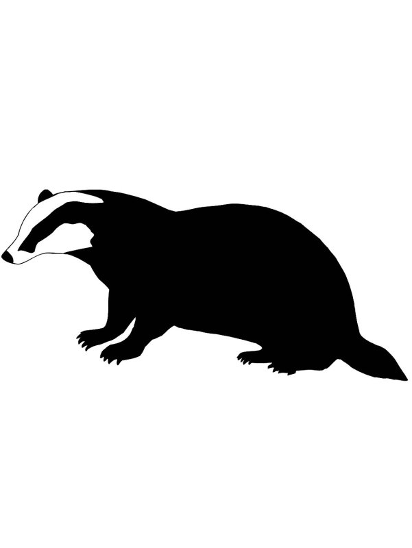 Барсук силуэт
