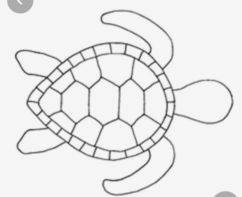 Шаблон черепахи для аппликации