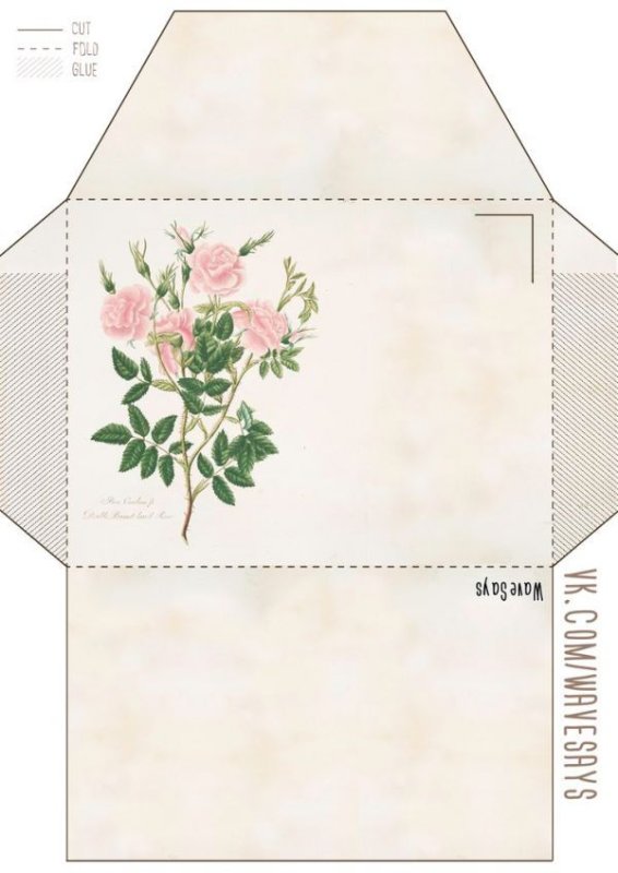 Развертка конверта для открытки