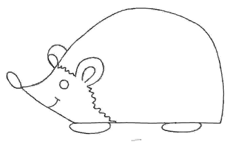 Раскраска Ёжик без иголок для малышей