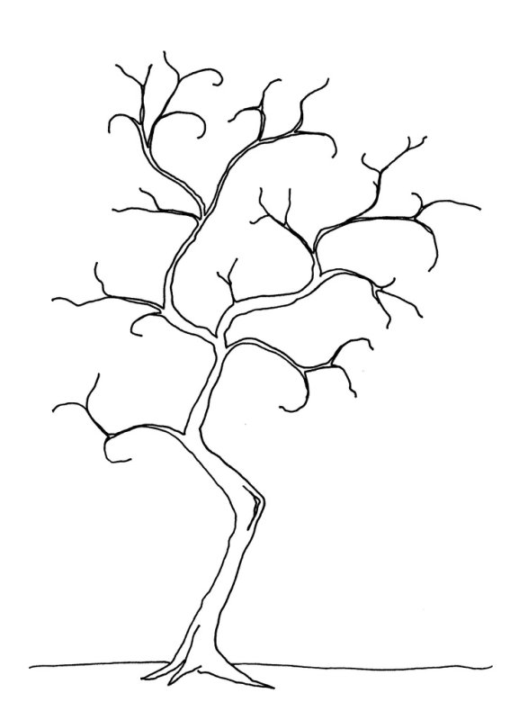 Ствол дерева без листьев