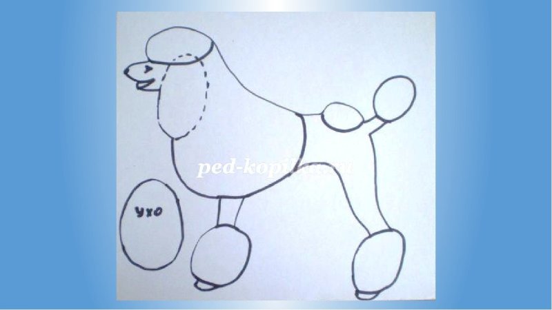 Пудель трафарет