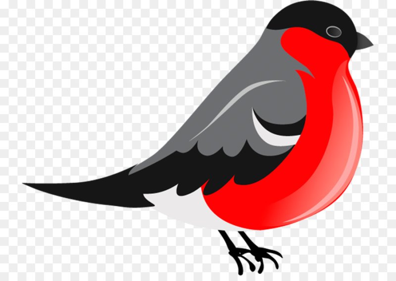 Снегирь для вырезания