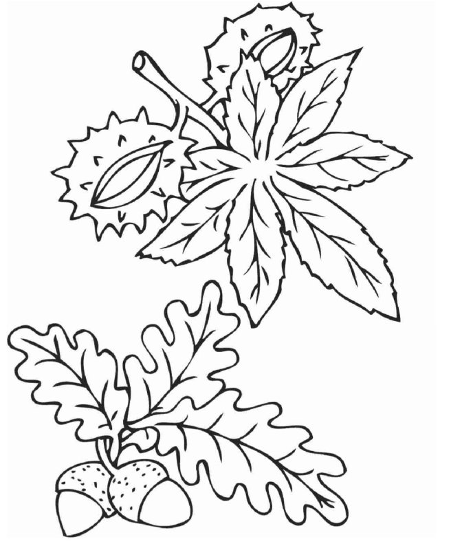 Букет осенних листьев раскраска