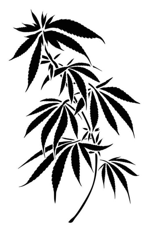 Конопля эскиз