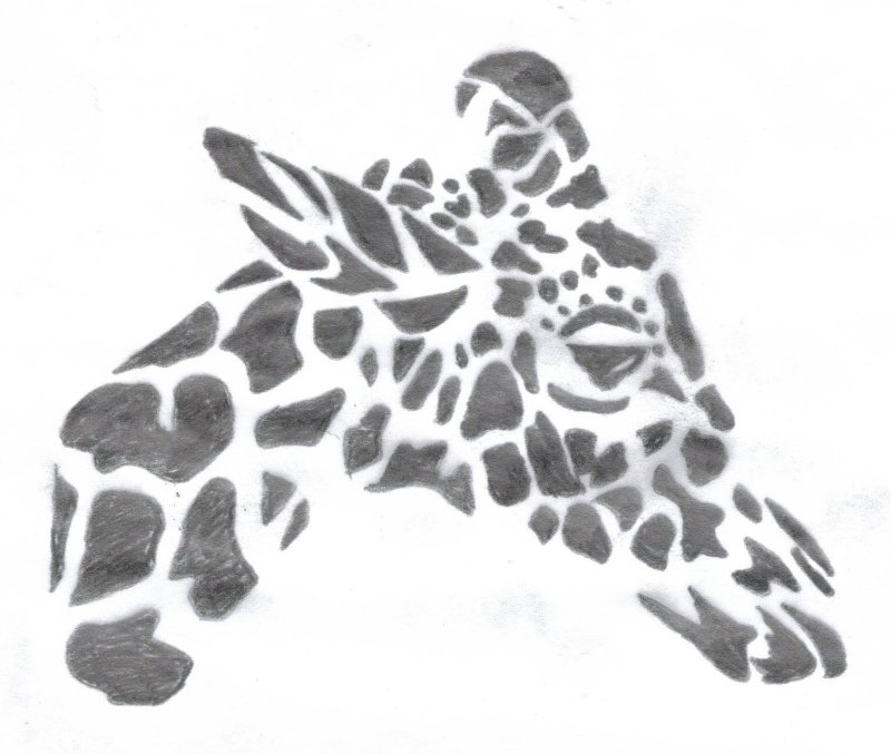 Следы жирафа