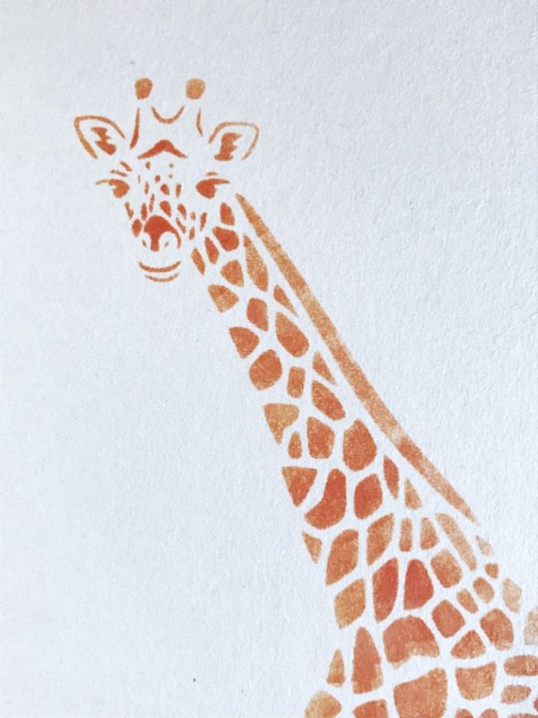 Жираф узор
